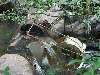 Homemade Waterwheel